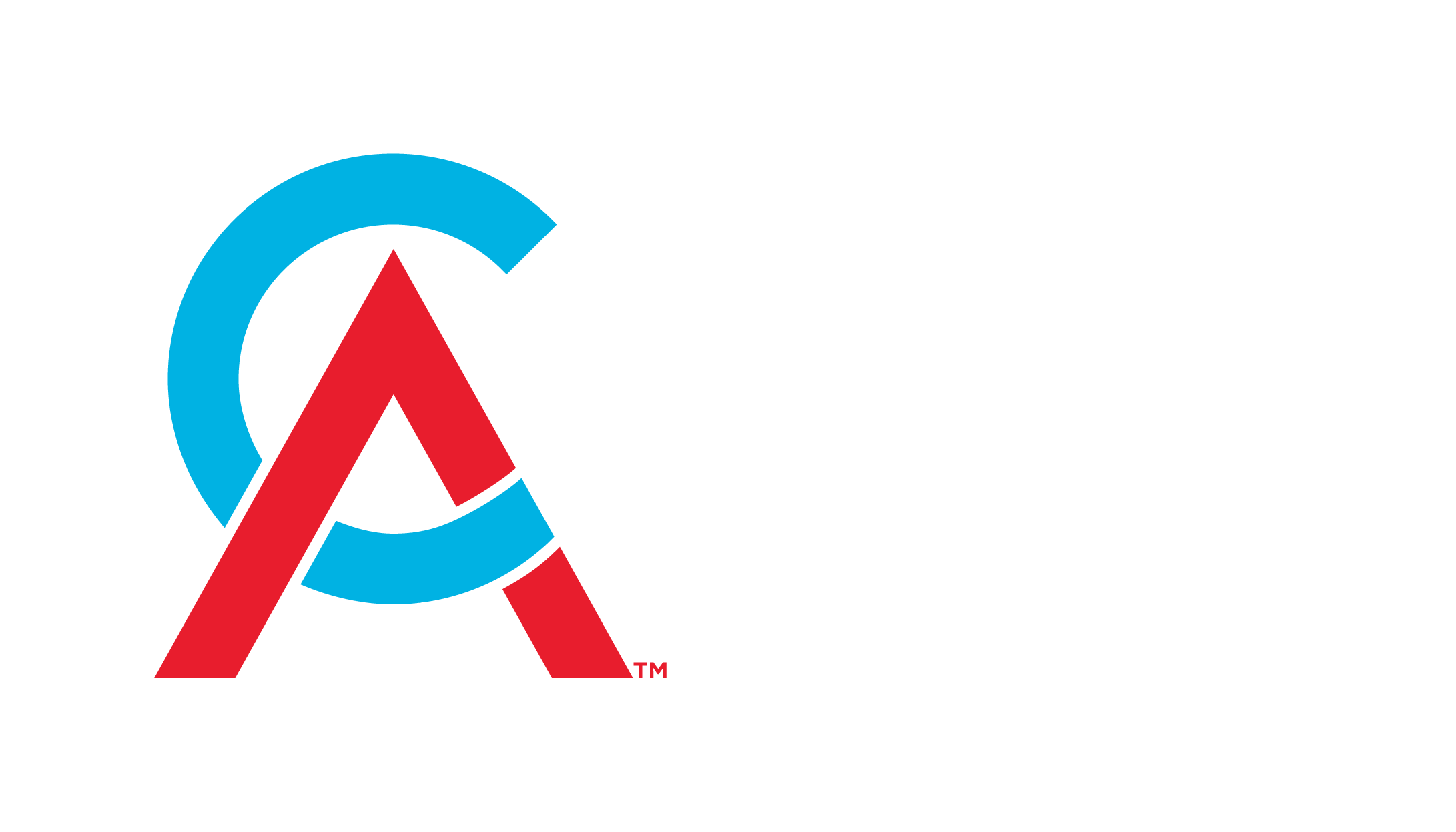 Chartered Accountants Australia and New Zealand